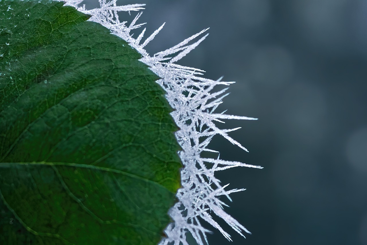 Hielo seco: 5 formas sorprendentes de utilizarlo eficazmente 3 hielo seco