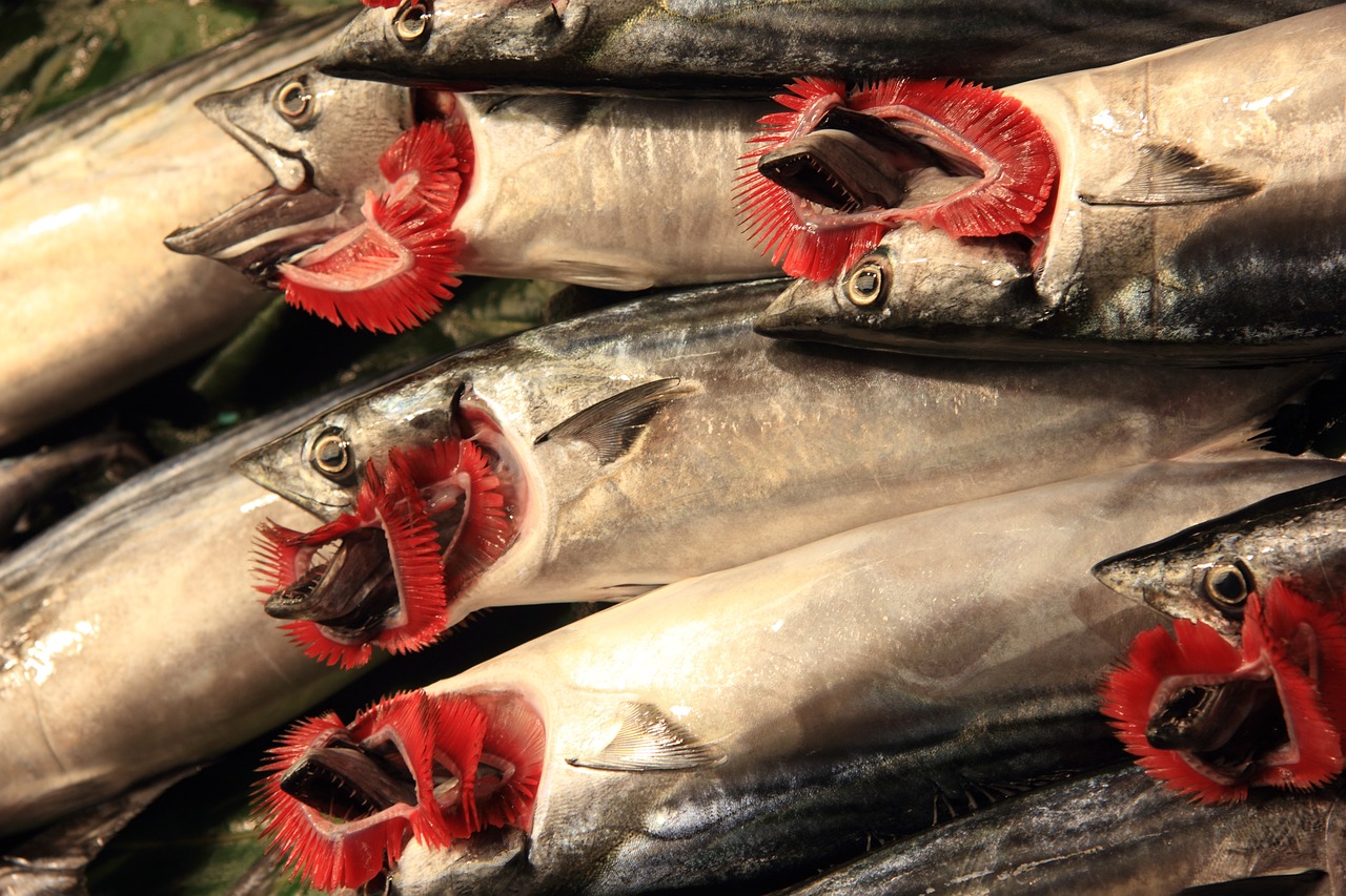 José Luis Gil: 5 claves para destacar en el mundo digital 5 josé luis gil