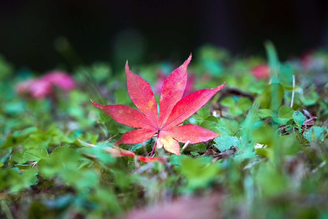 Kim Min-Kyu: 5 secretos para destacar en la industria del K-pop 3 kim min-kyu