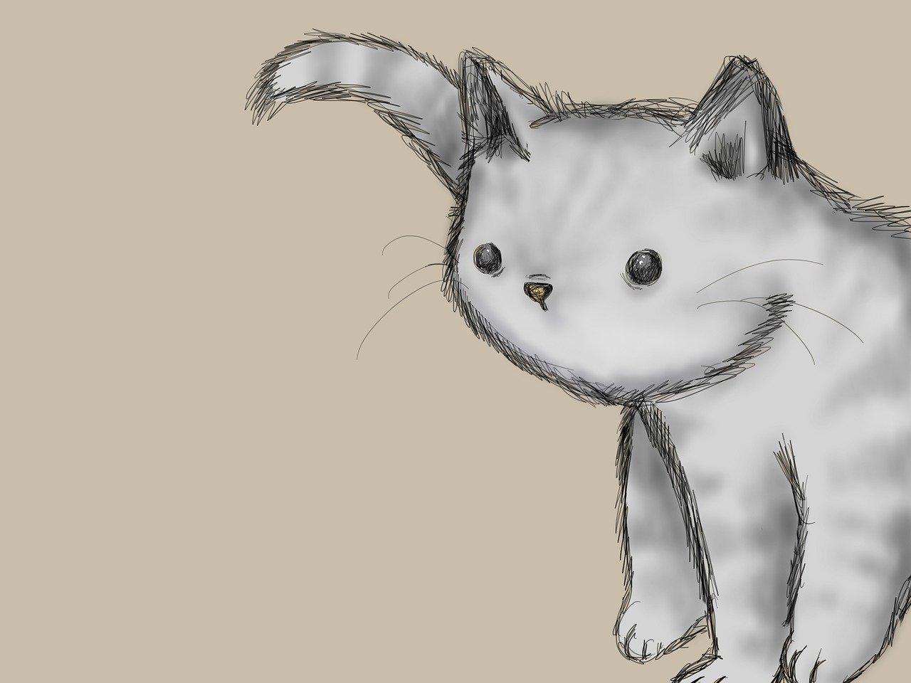Kitty: 5 trucos para cuidar a tu gato felizmente 4 kitty