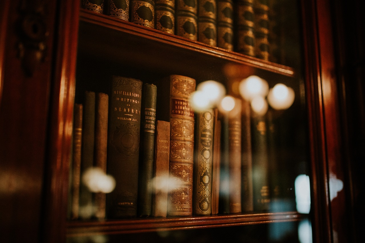 Librero: 5 pasos para organizar tu espacio de lectura ideal 4 librero