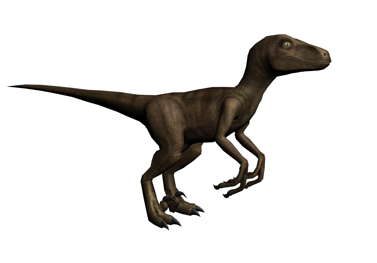 libros png