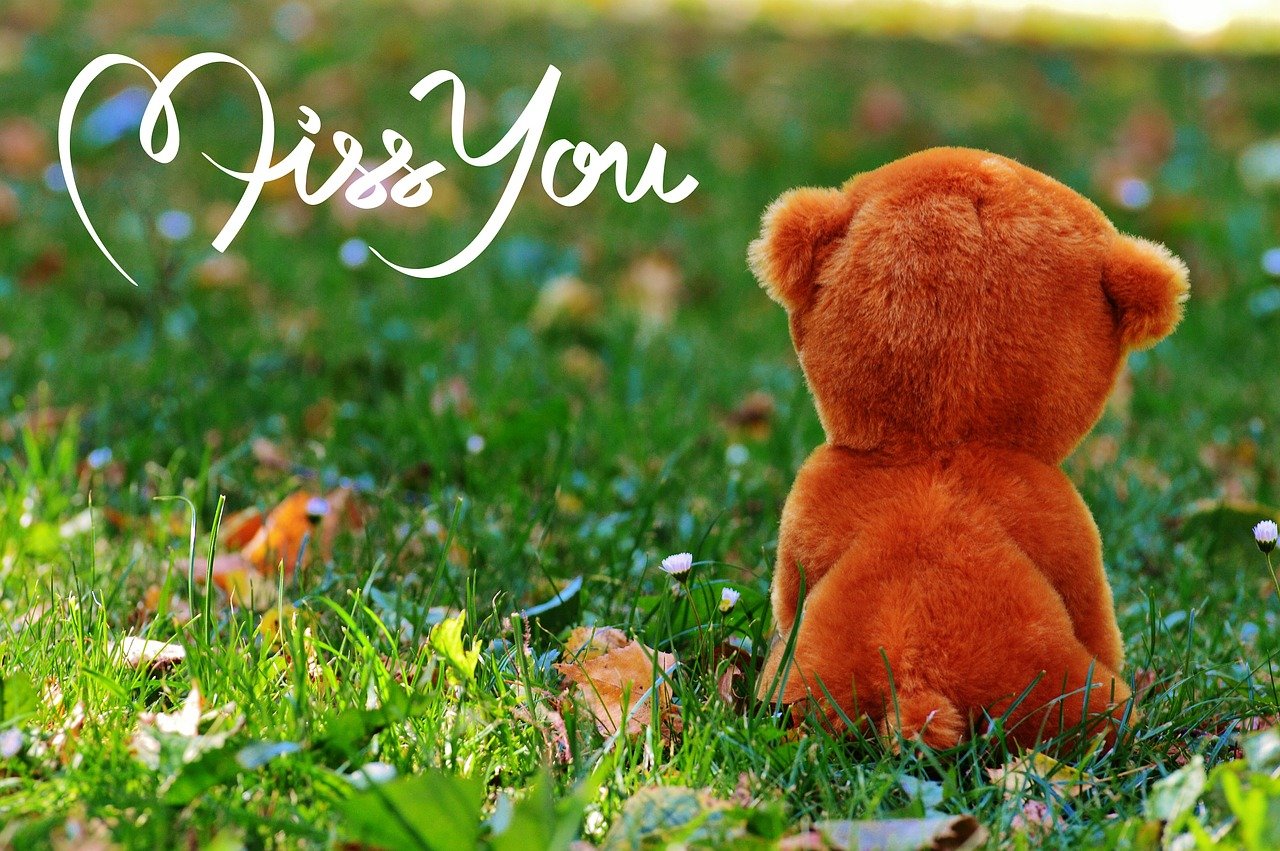 La Megan is missing: 5 misterios que debes conocer sobre el caso 3 megan is missing