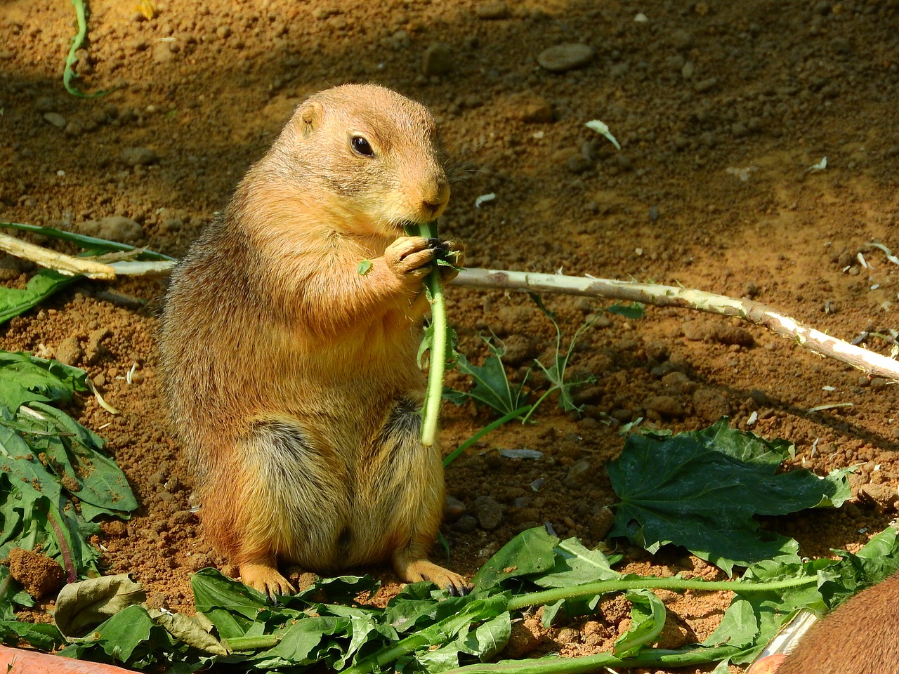 nom 022