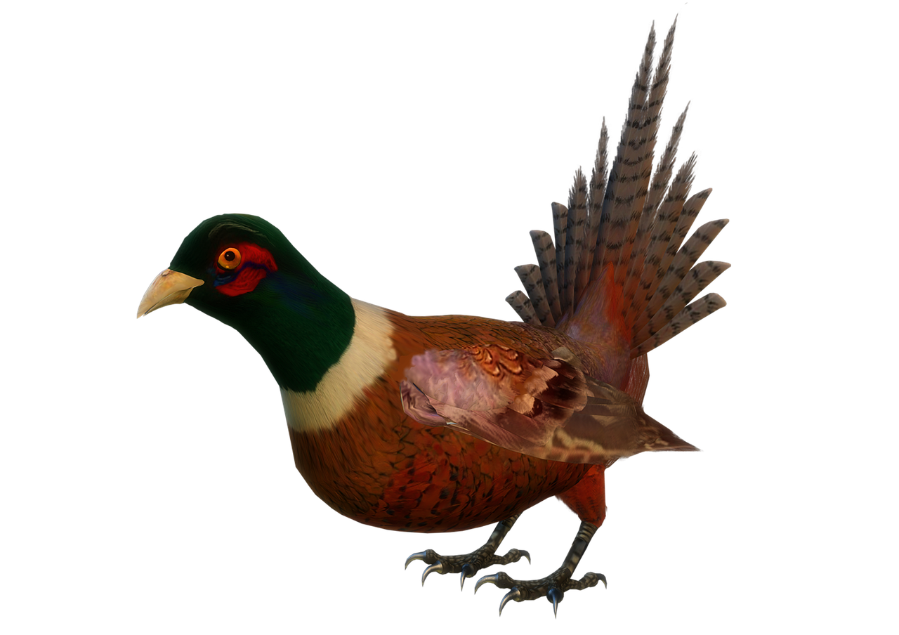 Np300: 5 razones para elegir esta camioneta en tu negocio 4 np300