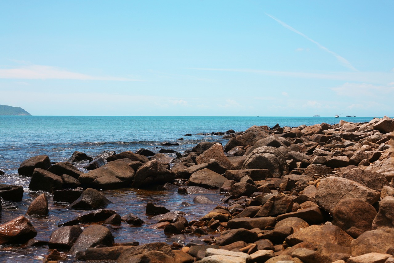 Móvil: 7 secretos para potenciar tu experiencia digital 5 palabras con mo