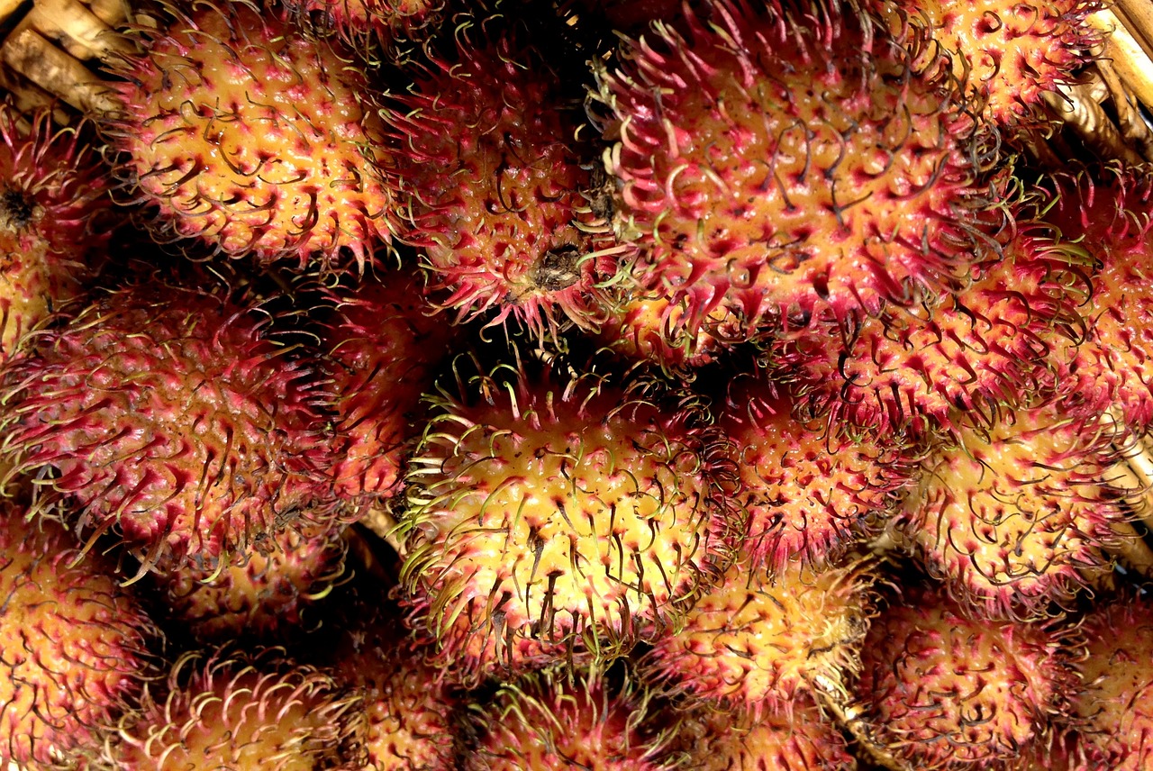 rambutan