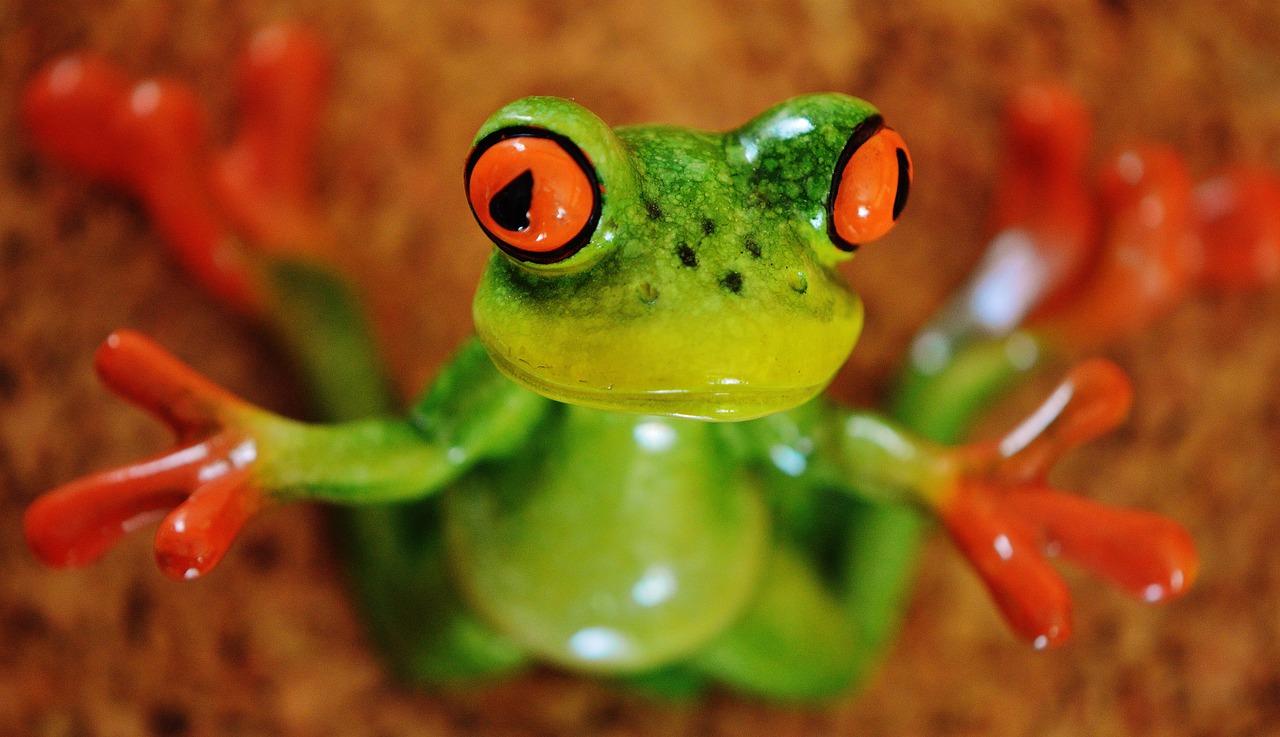 ranas