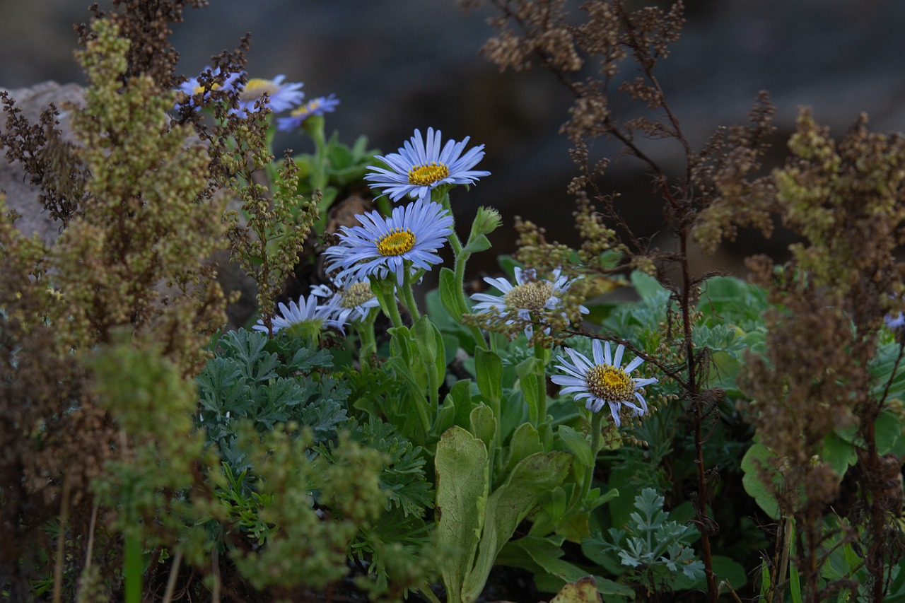 Sid 5 estrategias efectivas para mejorar tu productividad 3 sid