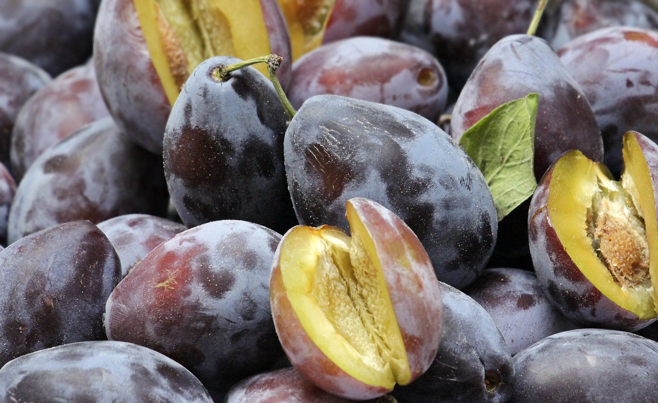 The fruit company: 7 maneras de aumentar tus ventas hoy 1 the fruit company