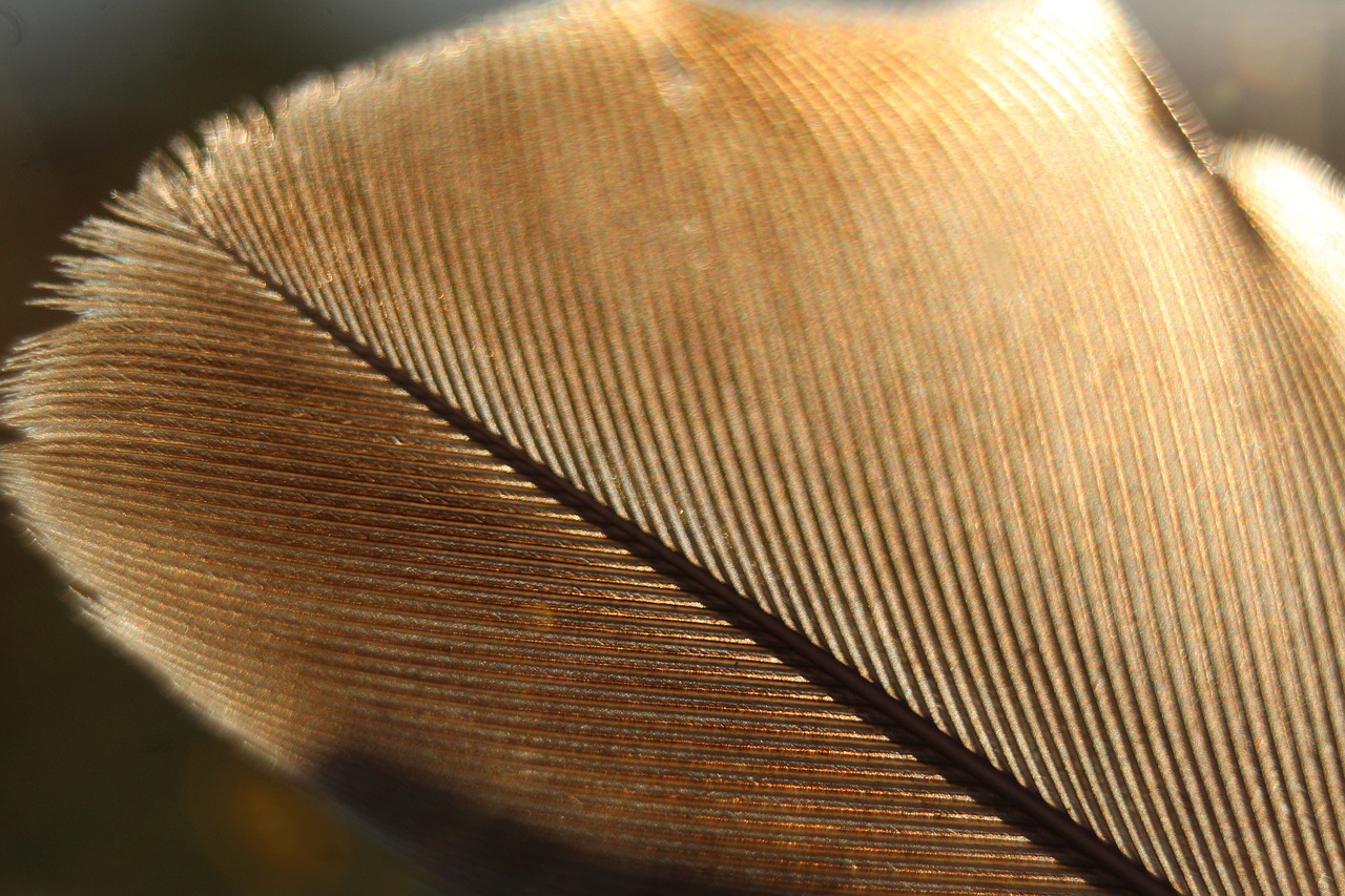 The little things reparto: 5 personajes que debes conocer 4 the little things reparto