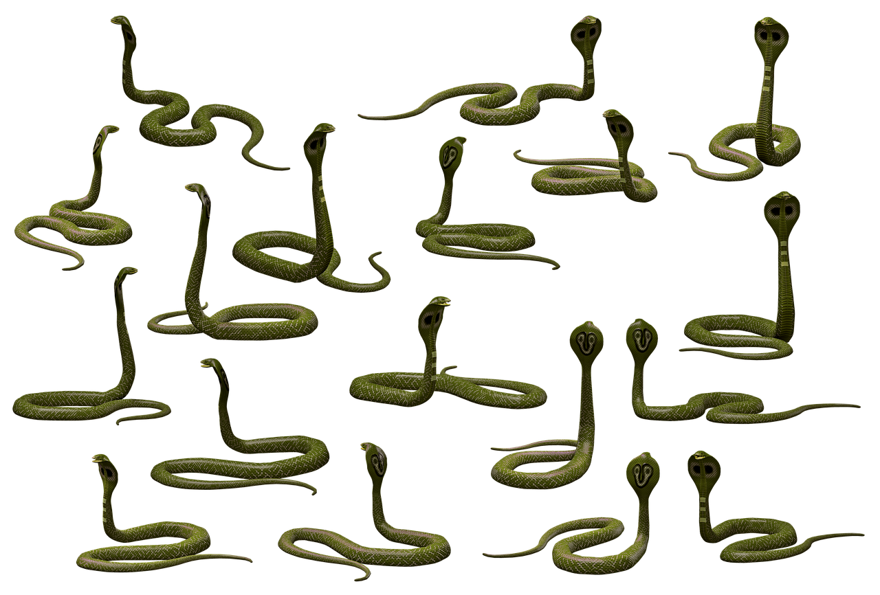viper