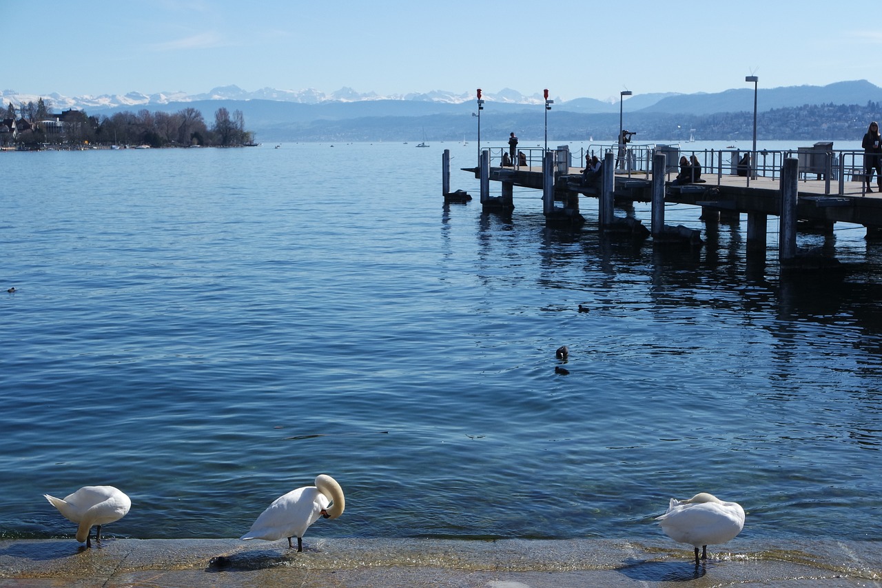 Zurich seguros: 5 pasos para optimizar tu póliza de auto 1 zurich seguros