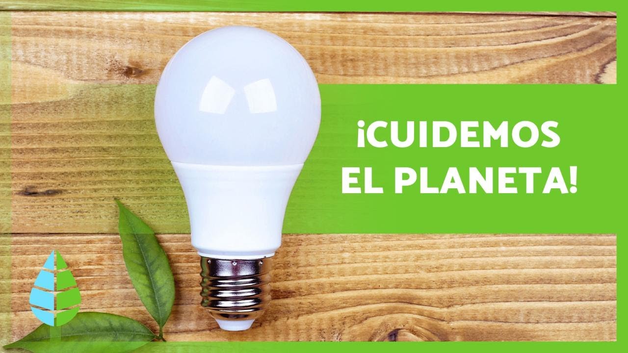 10 acciones para cuidar el medio ambiente y salvar el planeta 5 10 acciones para cuidar el medio ambiente