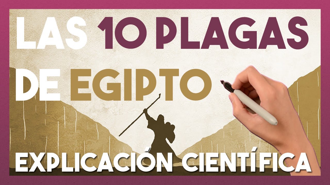 10 plagas de Egipto que fueron y por qué ocurrieron: ¡Descúbrelas! 4 10 plagas de egipto que fueron y por que ocurrieron