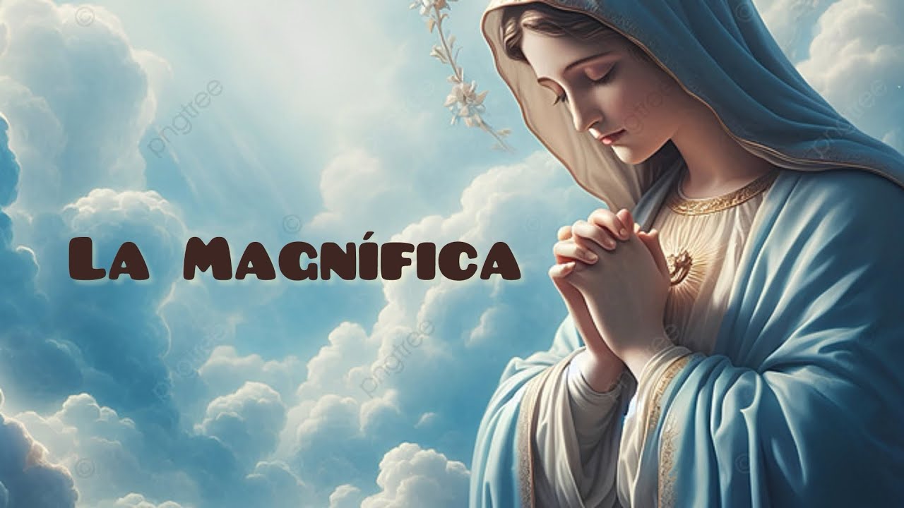 La magnífica guía: 7 secretos para mejorar tu SEO hoy 1 la magnifica