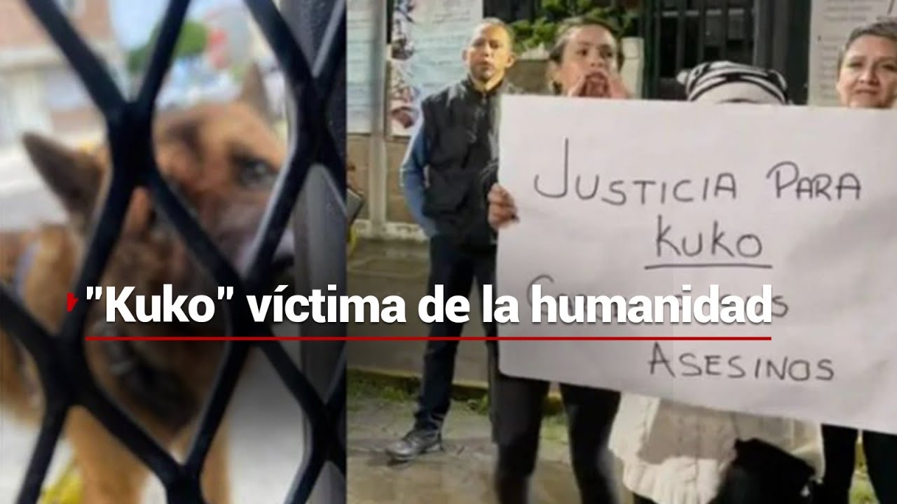 noticias am nicolas romero