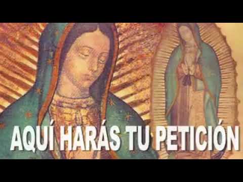 Oración a la Virgen de Guadalupe: 5 formas de conectarte en 2025 5 oracion a la virgen de guadalupe
