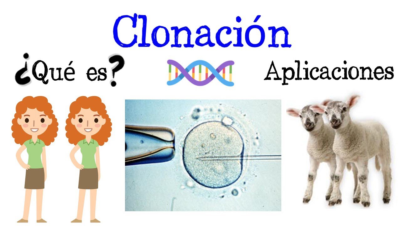 que es la clonacion