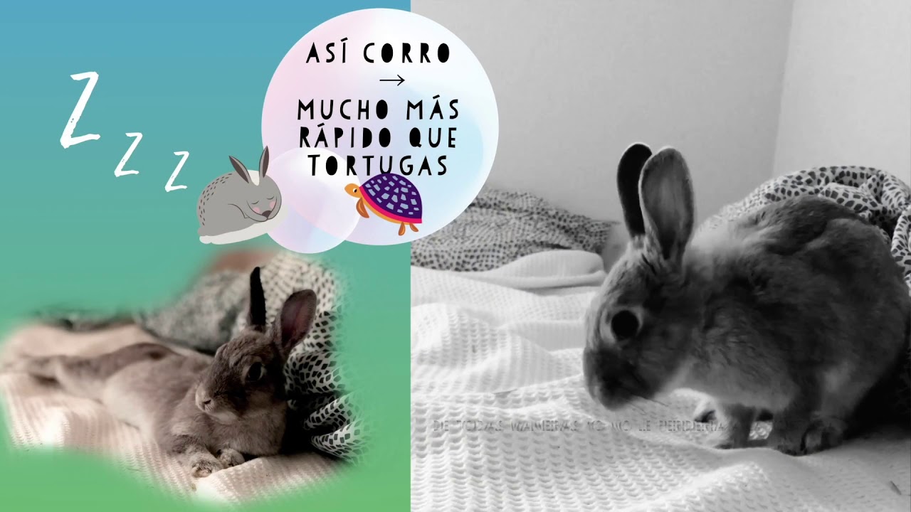 que se celebra el 23 de mayo