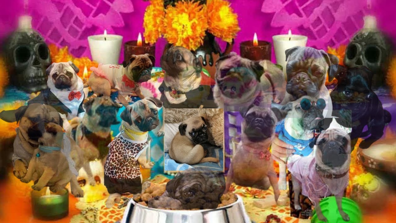 Que se celebra el 27 de octubre: 5 datos sorprendentes 1 que se celebra el 27 de octubre