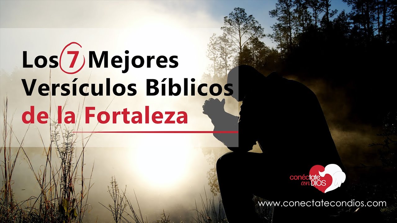 textos biblicos de fortaleza